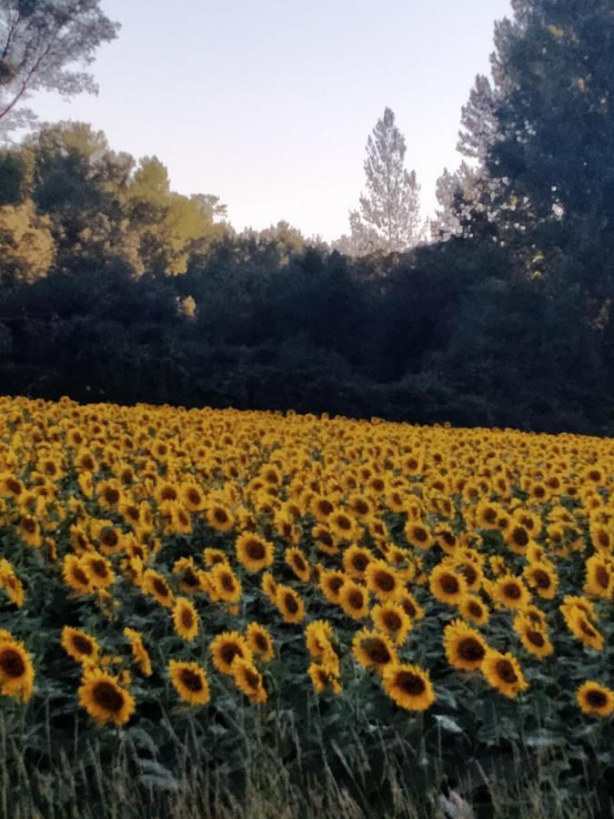 Hotel Rural El Cielo Entejado ภายนอก รูปภาพ